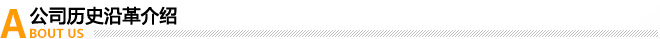 公司歷史沿革介紹